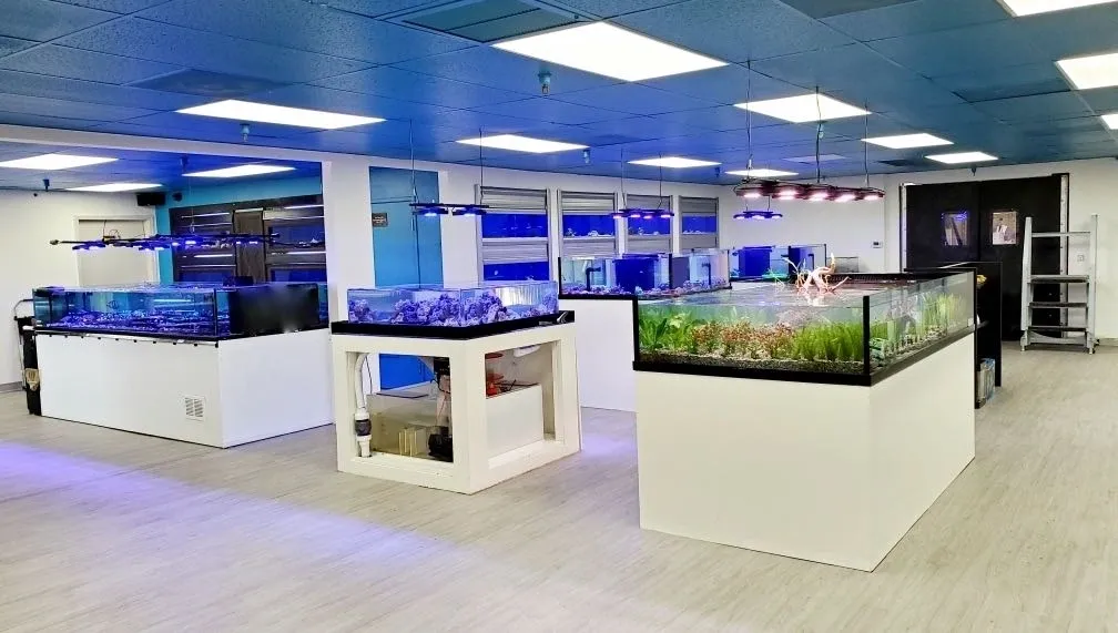 Le Corals