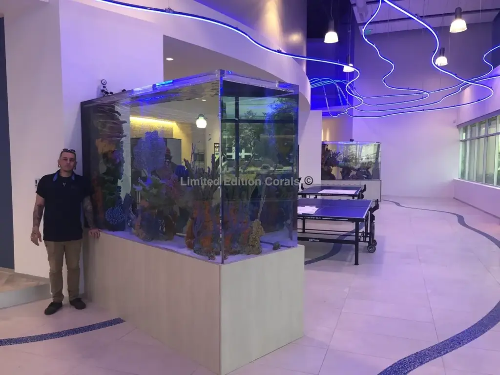 Le Corals