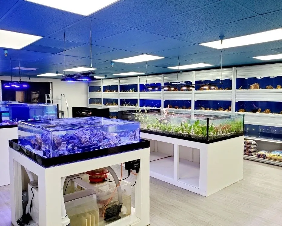 Le Corals