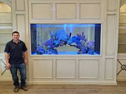 Saltwater Aquarium