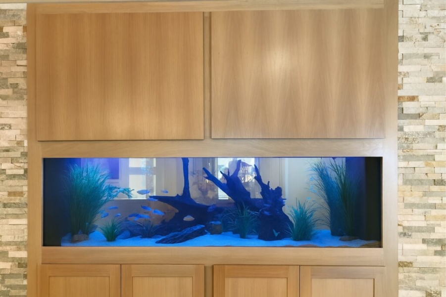 What size aquarium for Phoenix homes